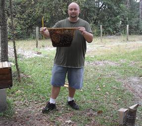Rob_Ire's profile picture. fun loving beekeeper, amateur business man hacking out a living.