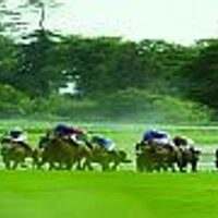 Gowran Park Racing (@gowranpark) 's Twitter Profile