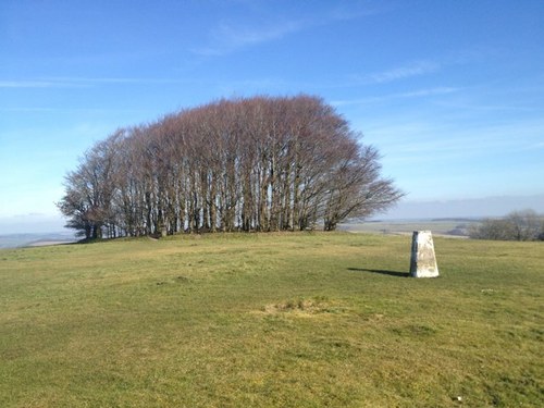 acgarnett's profile picture. Mundane Asset Management. Supporter of the movement of people, capital and ideas to promote innovation that will drive world growth.