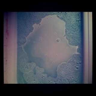 laylaluce's profile picture. 