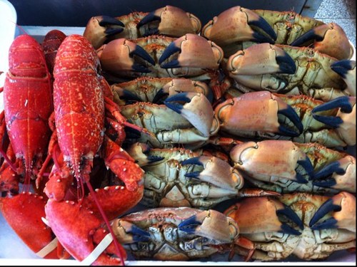 DSeafoods's profile picture. Yorkshires finest purveyors of fresh seafood, caught on our East Coast. Our excellent produce and customer service stands us far above the rest. Open Mon-Sat.