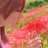 shingi328's profile image