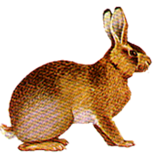 fiverlocker's profile picture. 