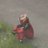 coderoyalty's profile image