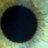 atwinkman's profile image