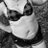 Country_Mel29's profile image