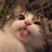 typical_ann's profile image