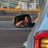 luloz03's profile image