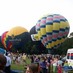 Luchtballon Arnhem (@arnhem_meb) Twitter profile photo