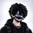0xKovik's profile image