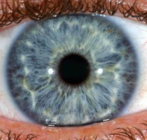 MariskaJHB's profile picture. Registered optometrist. Irodologist. Eye-wear stylist.