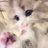 akaqr1_'s profile image