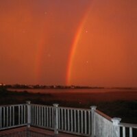 Peter Parker (@therealspidey) 's Twitter Profile