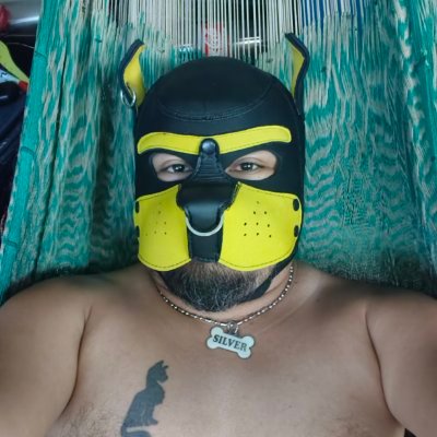 silverwolfpuppy's profile image