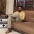 sanjaythakur58's profile image