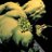 Photosynthetism's profile image