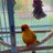 wisdomande0swo's profile image