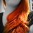 _Solanales_'s profile image