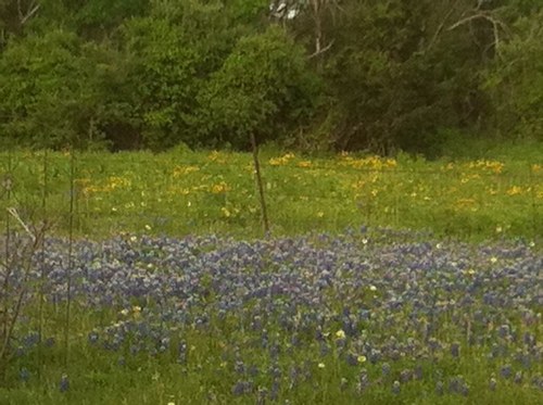 dgw1447's profile picture. 