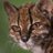 fatboy_1357's profile image