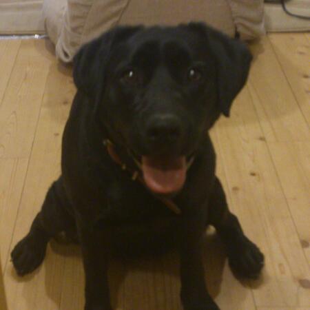 _polepole_'s profile picture. 