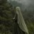 nazende_nznd's profile image