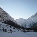 michelle wales - @michellewales1 - Twitter