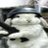 yuudecideall's profile image