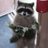 Boston9781's profile image