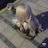 moji40's profile image