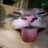 kiwwinnnw's profile image