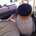 Helen Rees - @hdelliston - Twitter