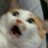__serenamente__'s profile image