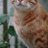 annu8dooi's profile image