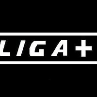 LIGA+ (@plusliga) 's Twitter Profile