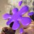 lonxoxy's profile image