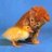 DenisCherepano1's profile image