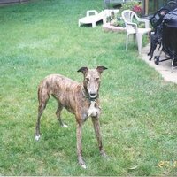 Save America for our children 🇺🇸 (@island_path) 's Twitter Profile Photo