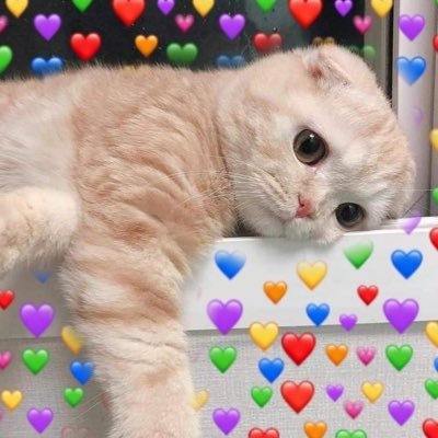 ไม่เคยคบ ผช DM มาคุยกันได้ค่ะ