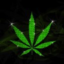 brad rich - @BradBradley003 - Twitter