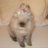 miffybelle's profile image
