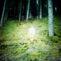 alberto innocenti (@albertoinnocen2) 's Twitter Profile