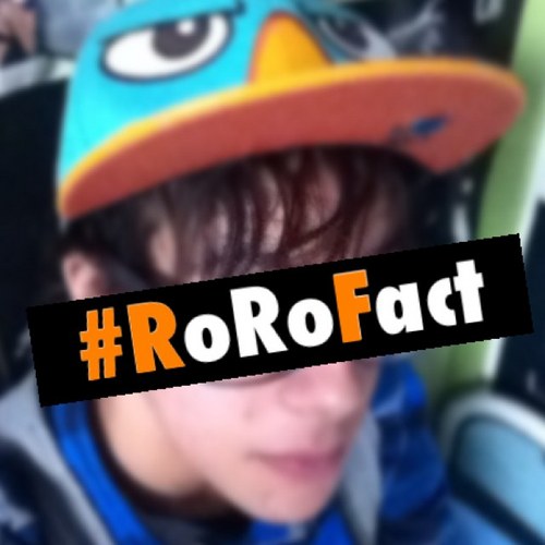 RoRoFacts's profile picture. Every fact is a RoRofact,