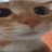Noooo8787's profile image