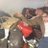 bound2buttfukk's profile image