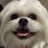 majoootkm's profile image