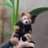 dogimagidog's profile image