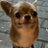 mile1469357's profile image