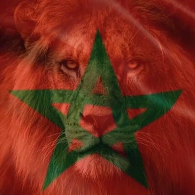 TOMASChilibi's profile image