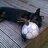 gilly8049's profile image